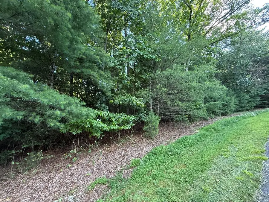 LOT 65 Lennox Point, Blairsville, GA 30512 - #3