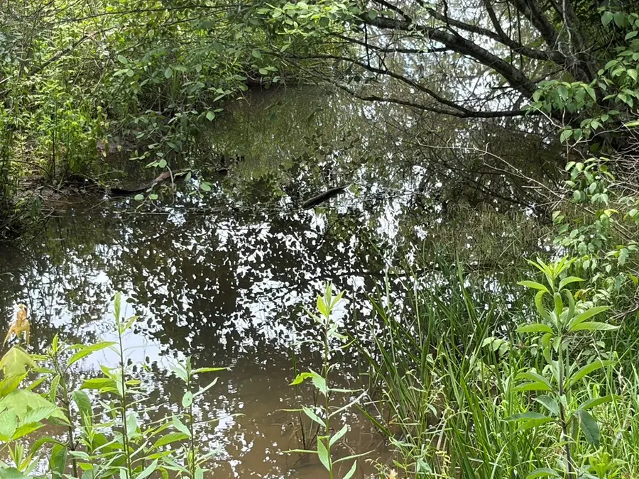 155 Acre Hemlock Ridge Subd, Turtletown, TN 37391 - #3
