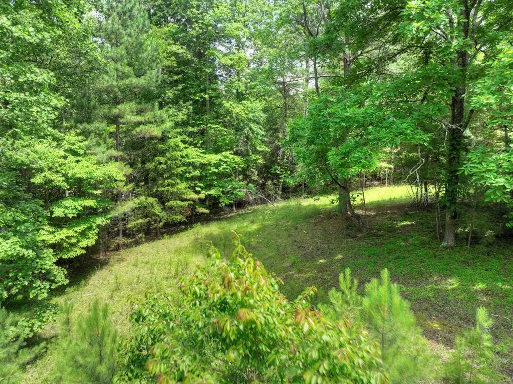 LOT 132 Fox Cove Road, Blairsville, GA 30512 - #1