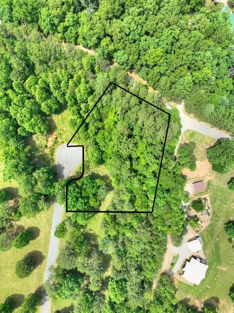 LOT 132 Fox Cove Road, Blairsville, GA 30512 - #3