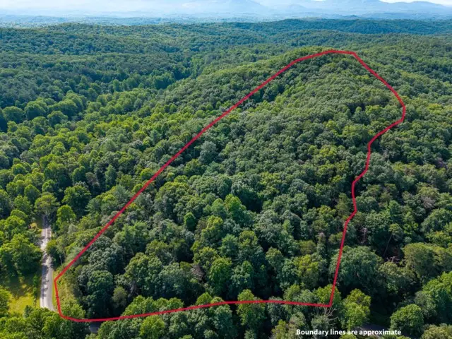 5198 Flat Branch Road, Ellijay, GA 30540 - #2