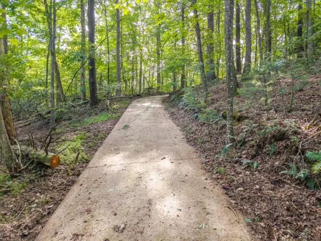 5198 Flat Branch Road, Ellijay, GA 30540 - #1