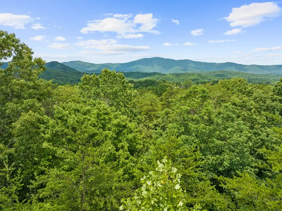 0 Crawford Road, McCaysville, GA 30555 - #3