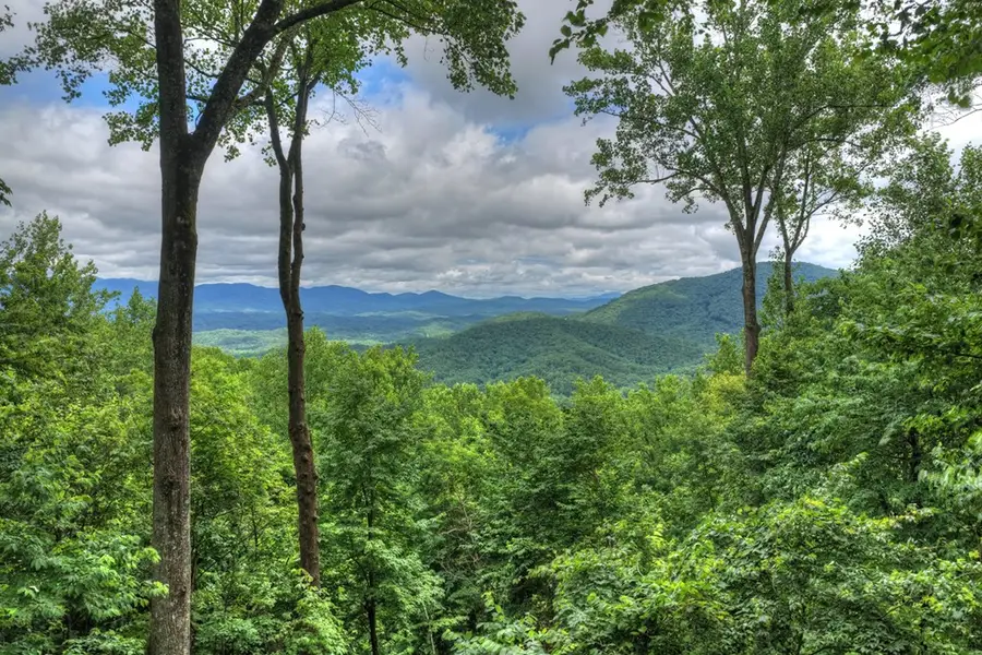 161 Walnut Ridge, Ellijay, GA 30536 - #2