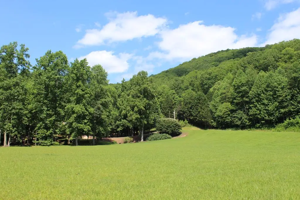 00 Wolf Mountain Road, Murphy, NC 28906 - #1