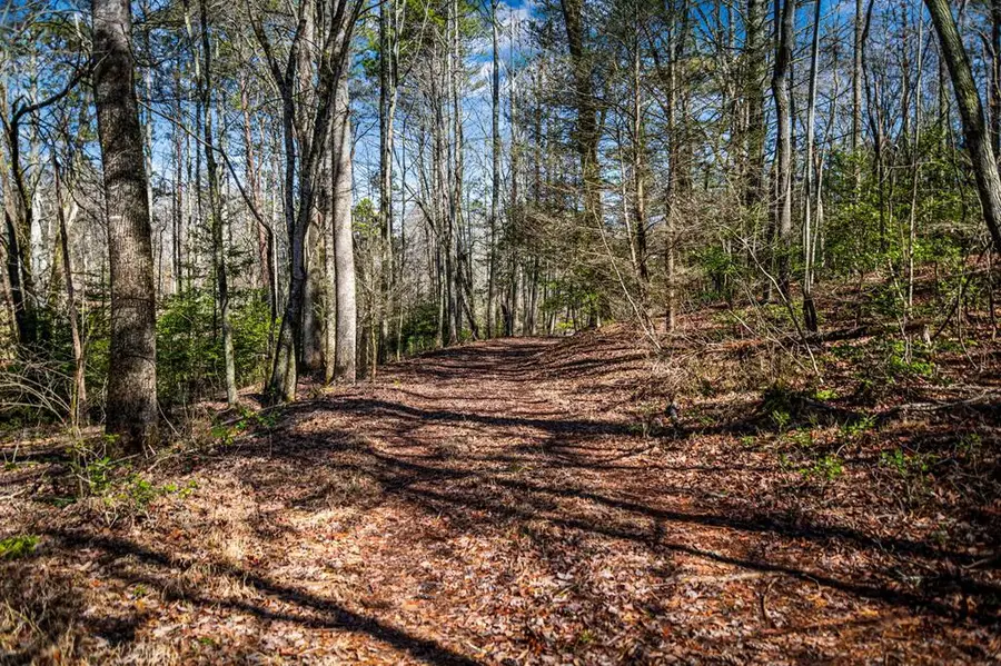 Tract C Captains Cove, Blairsville, GA 30512 - #3