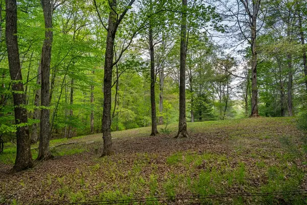 Lot 3-4 Scouts Overlook Lane, Morganton, GA 30560