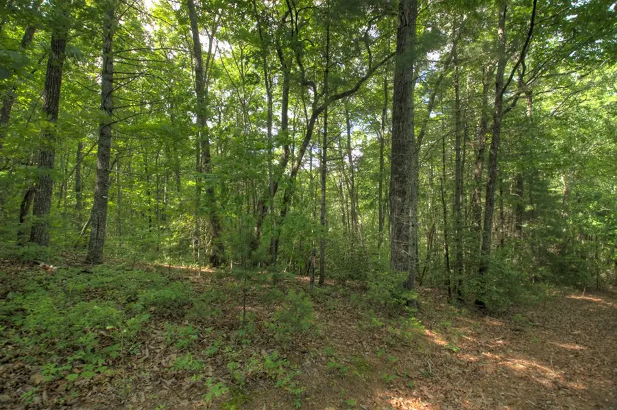 0 Menagerie Ridge, Epworth, GA 30541 - #2
