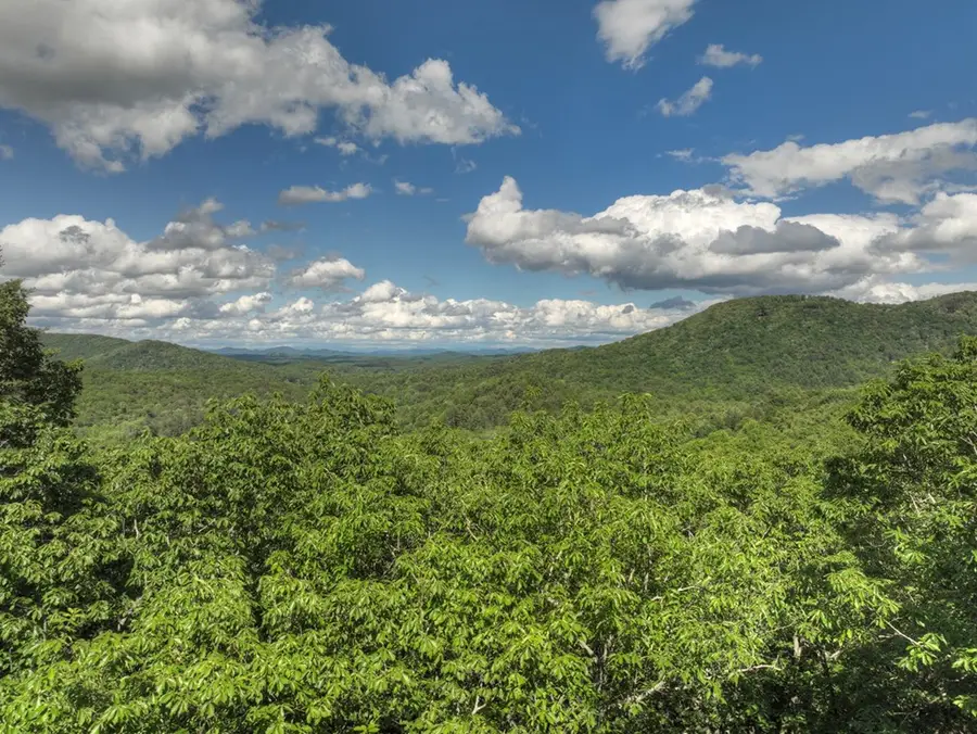 0 Menagerie Ridge, Epworth, GA 30541 - #3