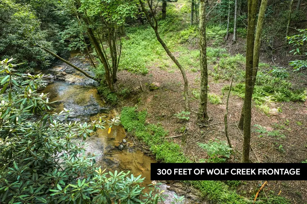 00 Mill Race Drive, Mineral Bluff, GA 30559 - #1