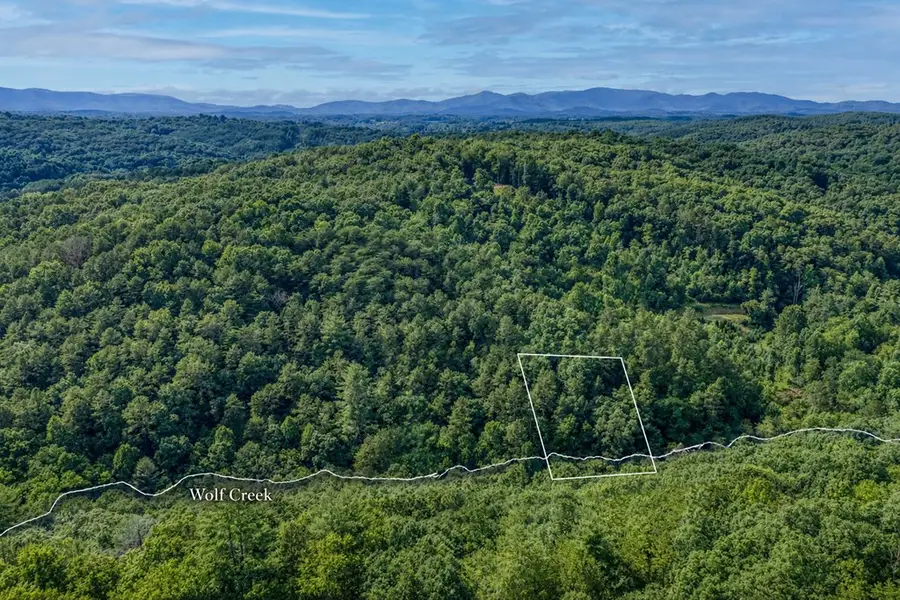 00 Mill Race Drive, Mineral Bluff, GA 30559 - #2