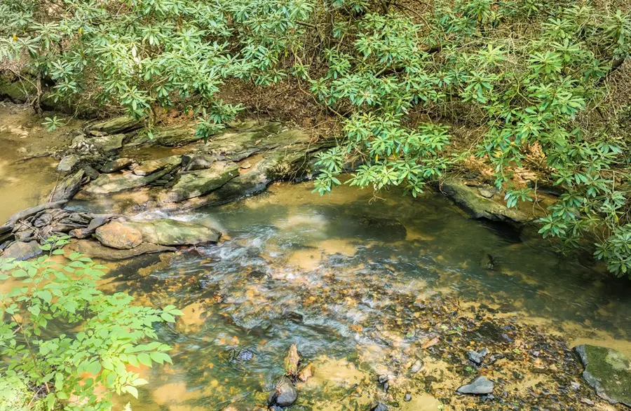 00 Mill Race Drive, Mineral Bluff, GA 30559 - #3