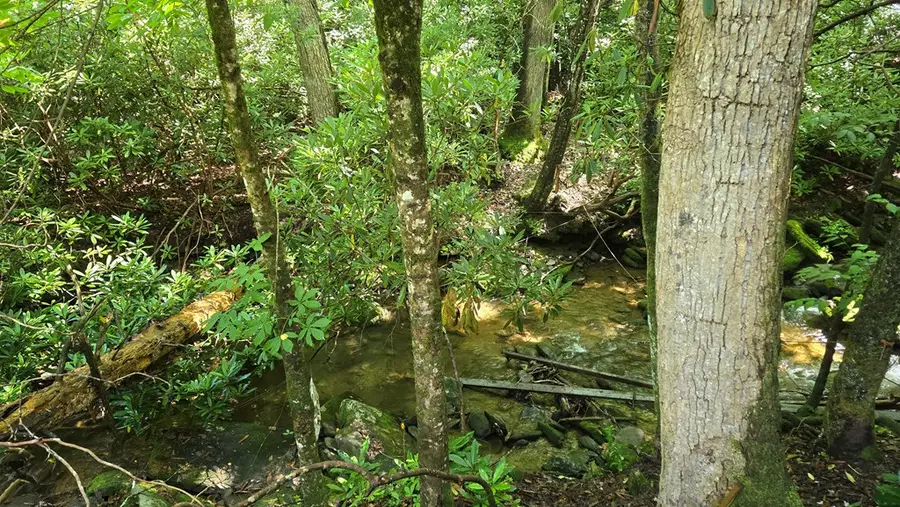 1536 Creek Road, Hiawassee, GA 30546 - #3
