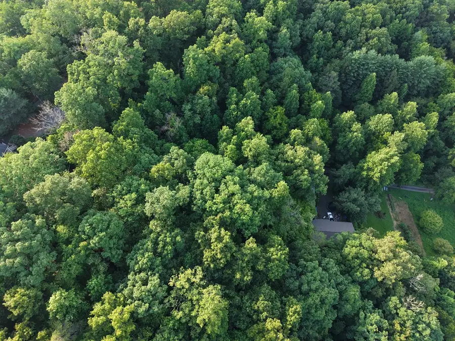 Lot 14 Kilpatrick Point Terrace, Hayesville, NC 28904 - #3