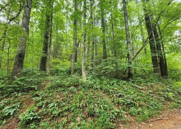 2B Poplar Cove, Suches, GA 30572