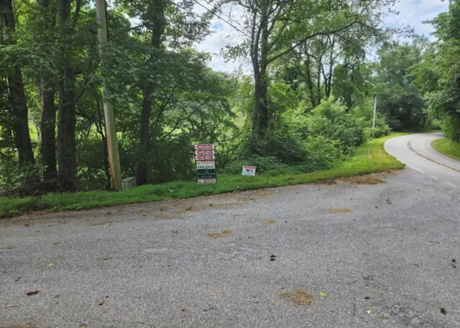 2B Poplar Cove, Suches, GA 30572 - #3