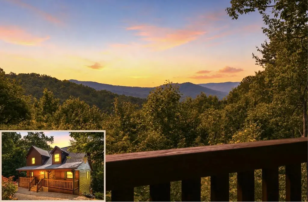 175 Leisure Drive, Ellijay, GA 30536 - #1