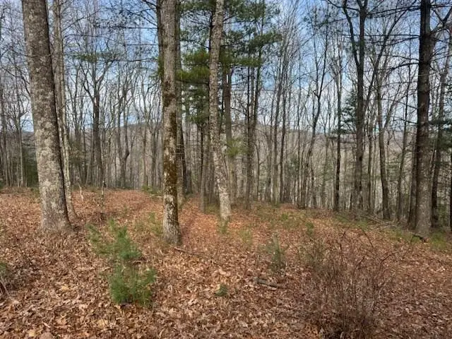 Lt 4,5,6 Abercrombie Estates, Suches, GA 30572 - #2