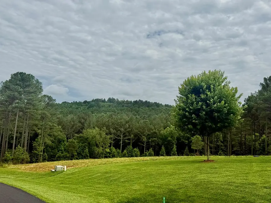 0 Stables Loop, Blairsville, GA 30512 - #3