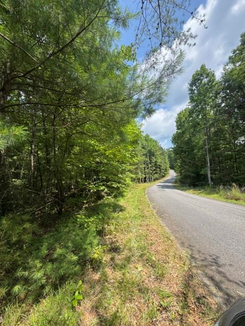 TR 3 & 4 Lakeland Drive, Ellijay, GA 30540 - #1