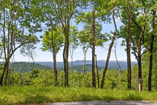 Lot 377 Calloway Mountain Road, Talking Rock, GA 30175