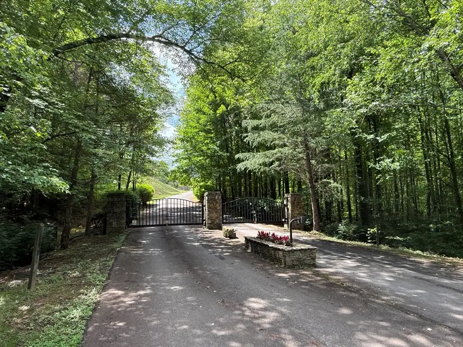 Lot E9 Reece Mountain Road, Ellijay, GA 30536 - #3