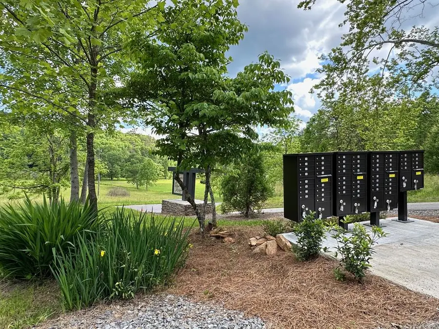LT12 Mountain Laurel Ridge, Mineral Bluff, GA 30559 - #3