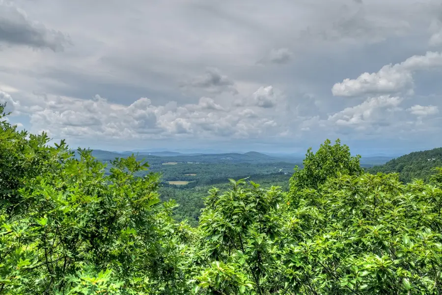 Lot 94 Thirteen Hundred S/d, Blairsville, GA 30512 - #3