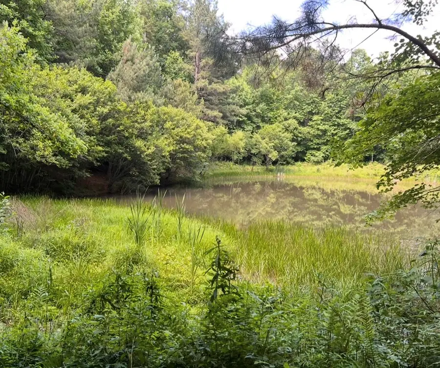 Address Withheld By Seller, Ellijay, GA 30540 - #3