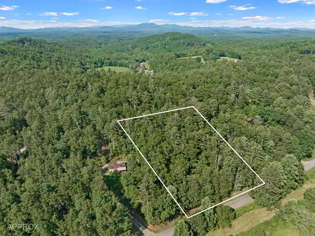 2 AC Ritchie Creek Road, Blue Ridge, GA 30513 - #1
