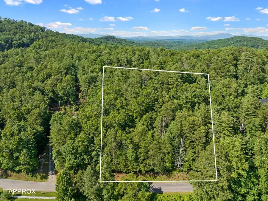 2 AC Ritchie Creek Road, Blue Ridge, GA 30513 - #2