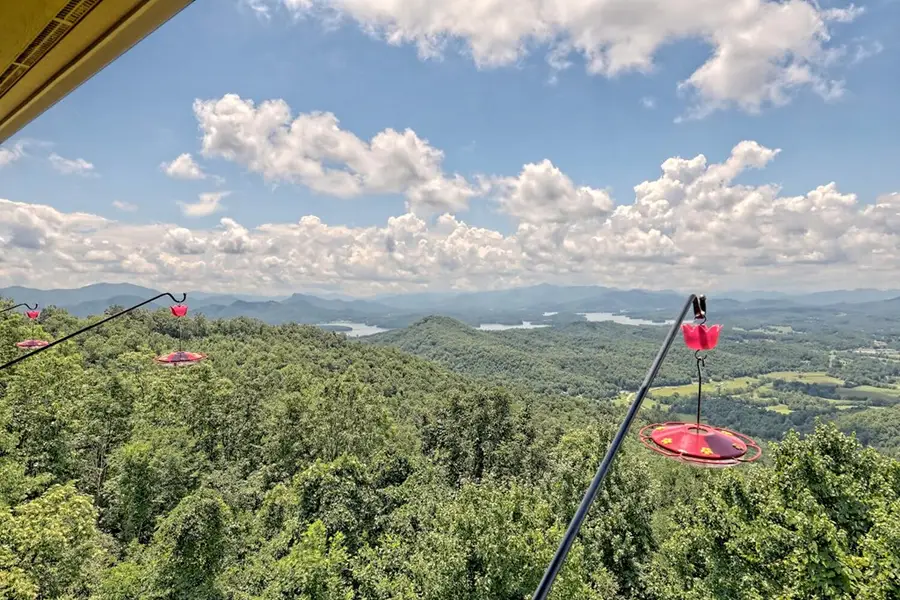 1212 Double Knob Drive E, Hayesville, NC 28904 - #3