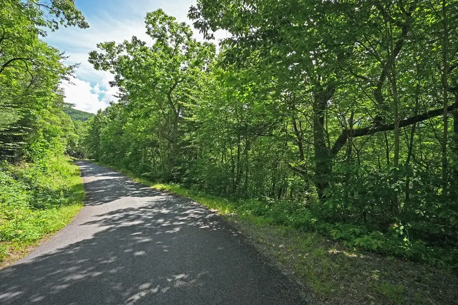 Lot 3 The Ridges, Hiawassee, GA 30546 - #3