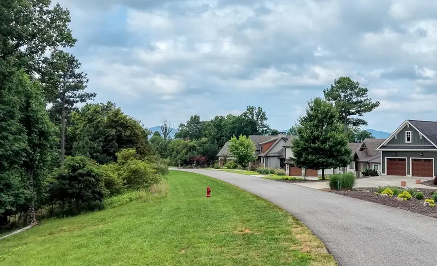 lot 28 Mile High, Blairsville, GA 30512 - #2