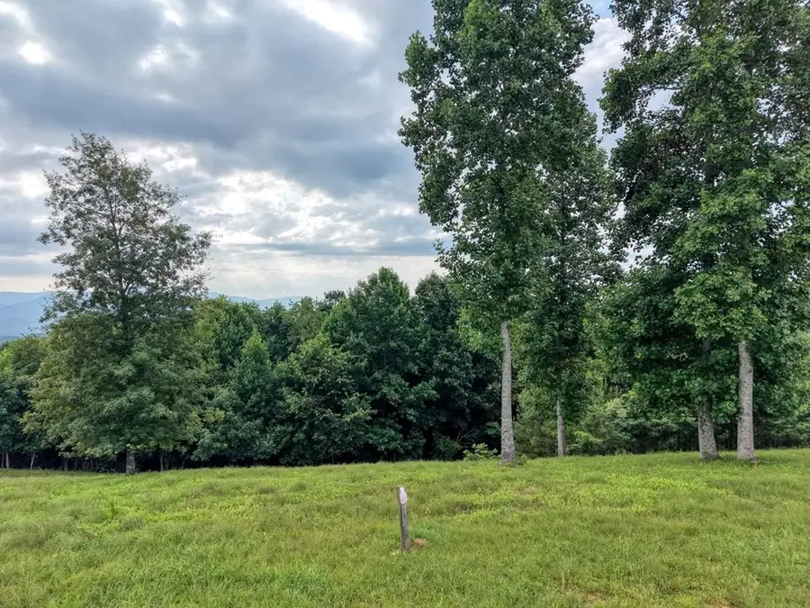 lot 28 Mile High, Blairsville, GA 30512 - #3