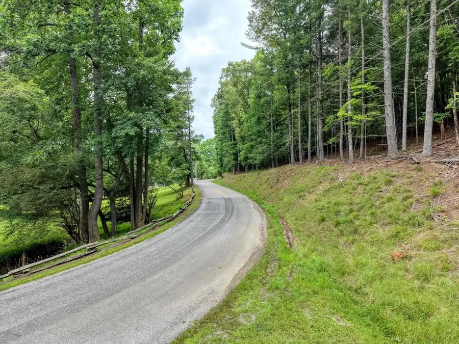 lot 5 Shallow Creek Road, Blairsville, GA 30512 - #3