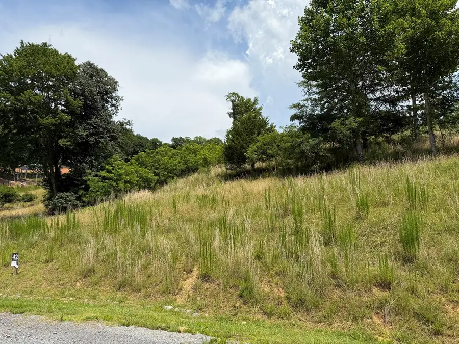 Lot 42 Big Valley Overlook, Morganton, GA 30560 - #3