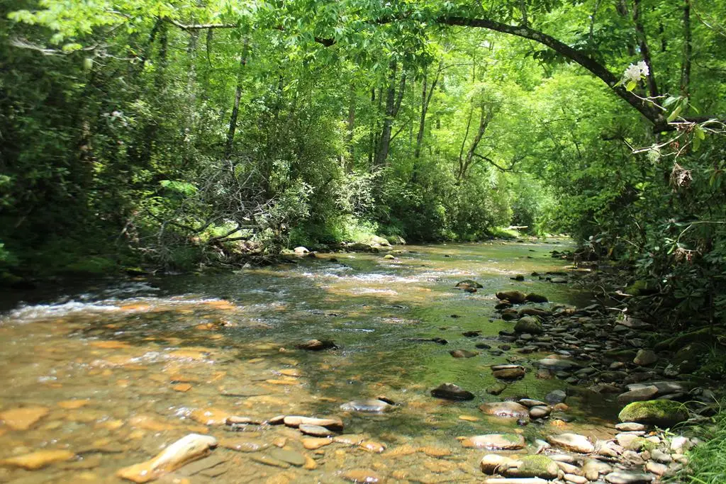 Lots 5,6 Slate Stone, Hayesville, NC 28904 - #1