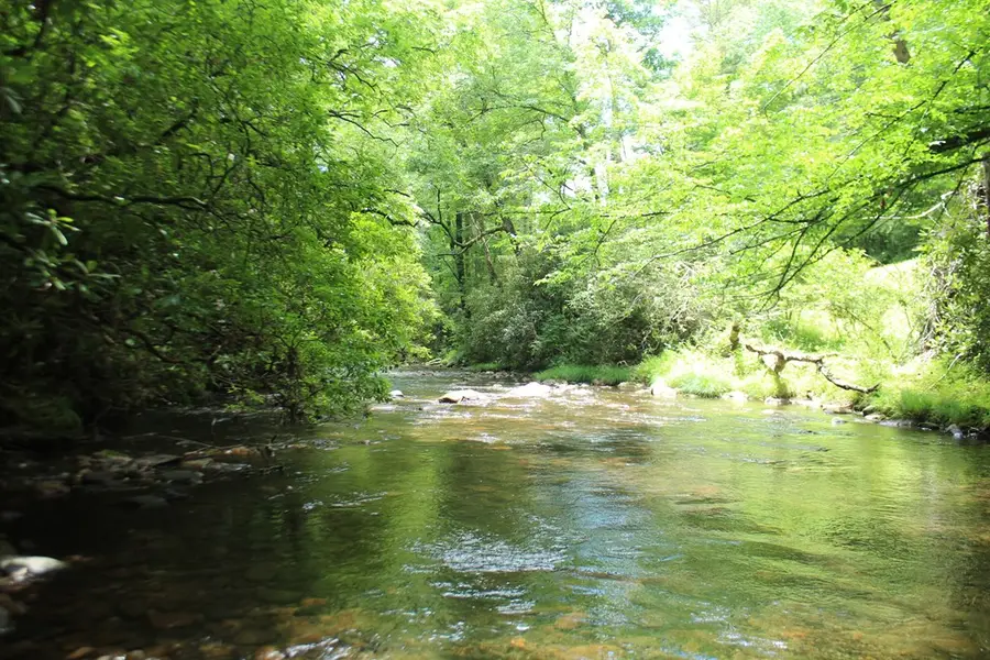Lots 5,6 Slate Stone, Hayesville, NC 28904 - #2