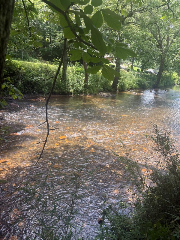 lot 6 Creekfront Lane, Hayesville, NC 28904