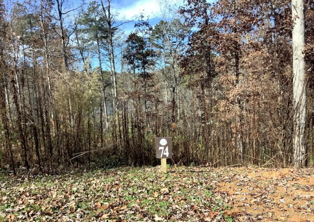 Lot 74 Hope Court, Ellijay, GA 30540 - #1