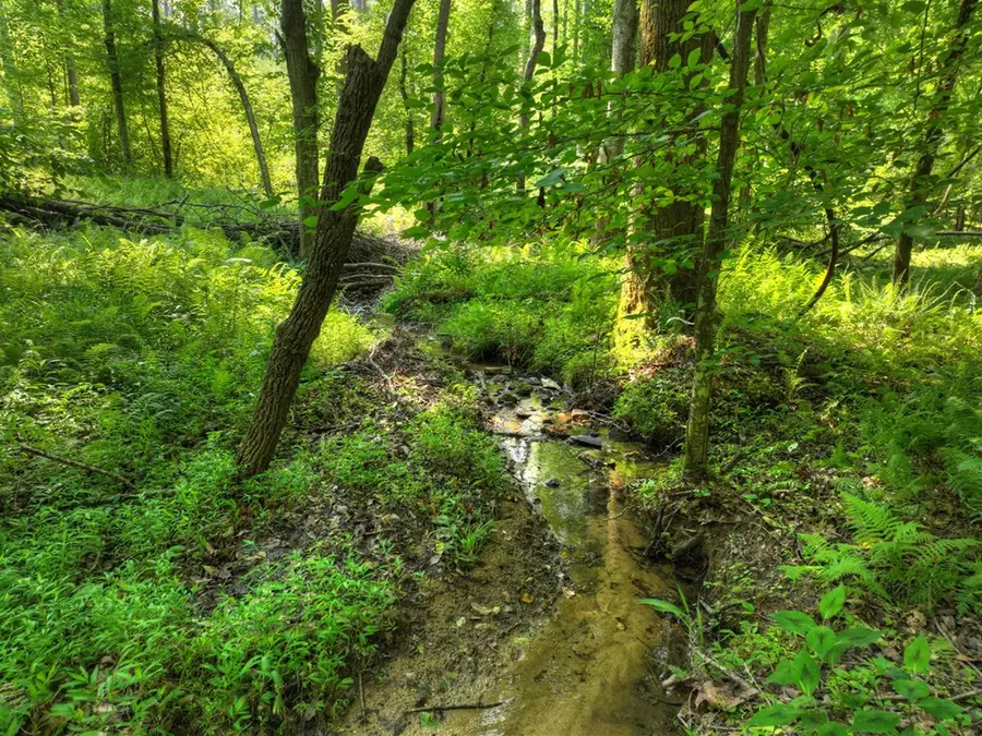 279 Shallow Water Trail, Talking Rock, GA 30175 - #3