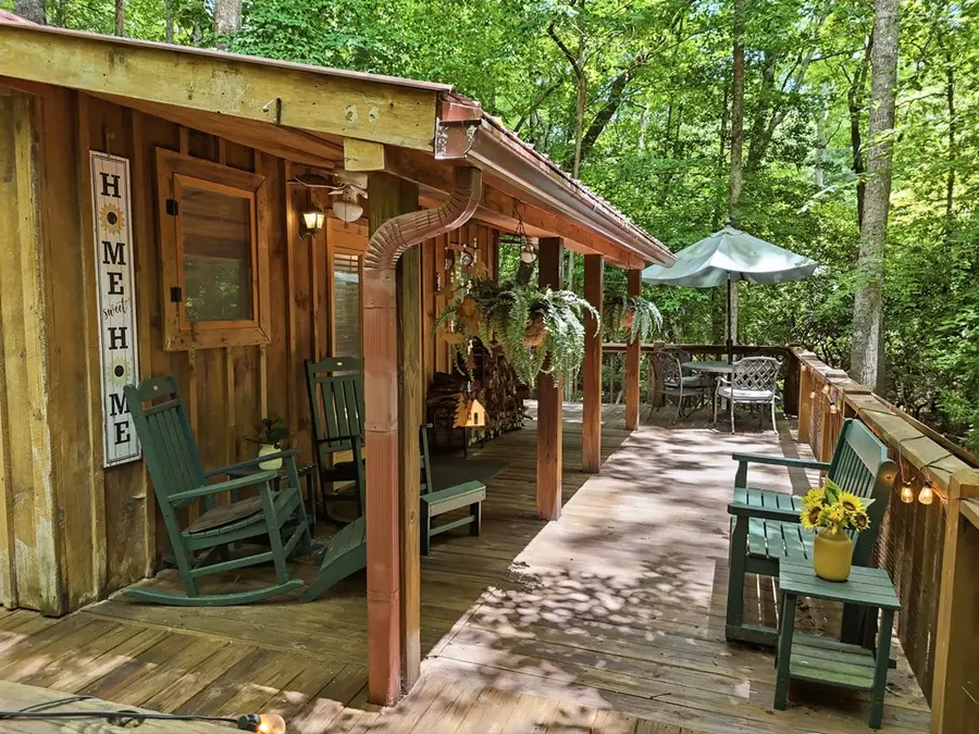 167 Mangums Trl, Blue Ridge, GA 30513 - #3