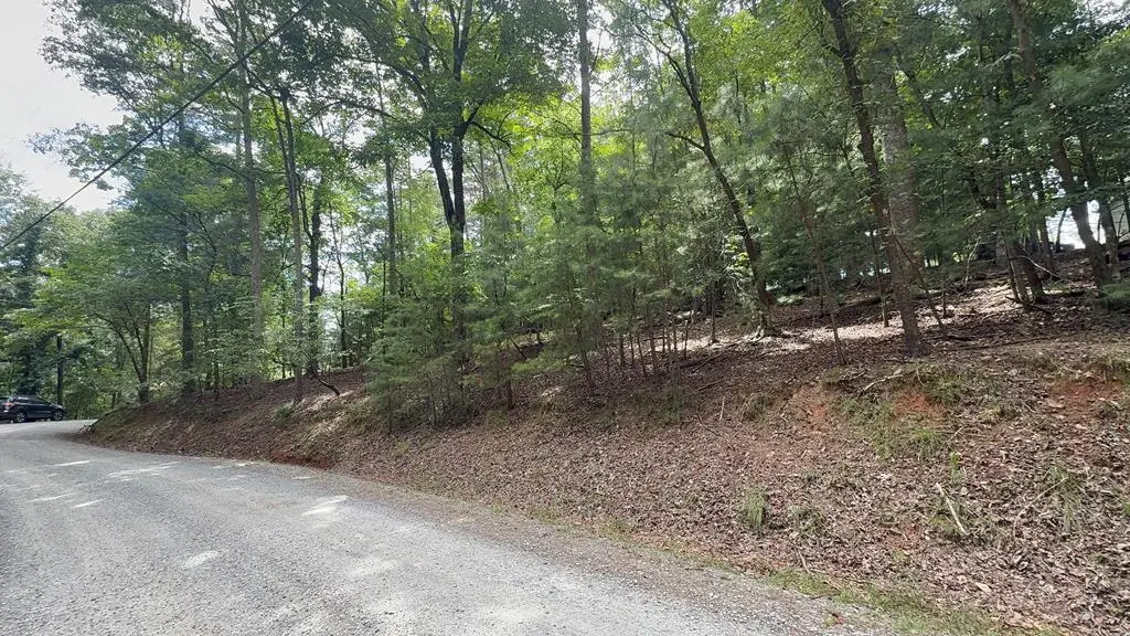 lot 679 Cypress Circle, Ellijay, GA 30540 - #1