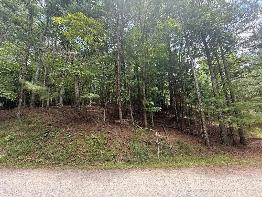 lot 1336 Lyric Lane, Ellijay, GA 30540 - #1