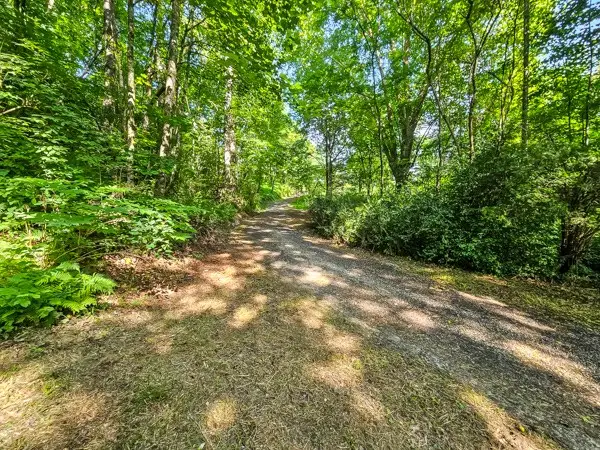 65 Mount Pleasant Drive, Ellijay, GA 30540 - #3