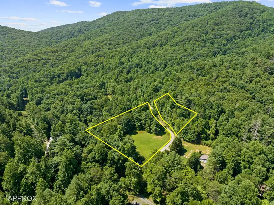 Lot 8 Tipton Court, Cherry Log, GA 30522 - #2