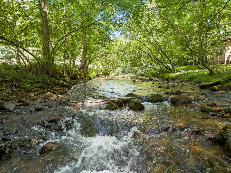 Lot 8 Tipton Court, Cherry Log, GA 30522 - #3