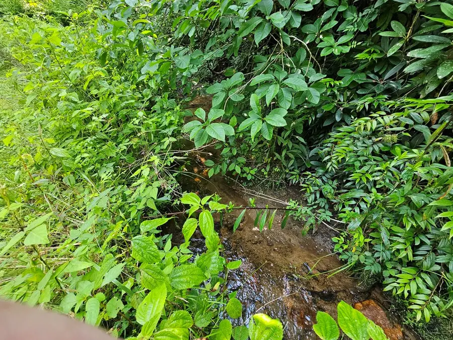 31 Acres Upper Bear Paw Road, Murphy, NC 28906 - #3