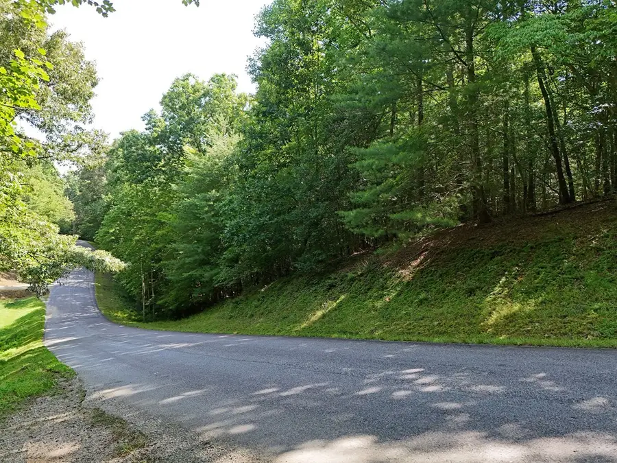 Lot 1 Eagle Bend Road, Blairsville, GA 30512 - #3